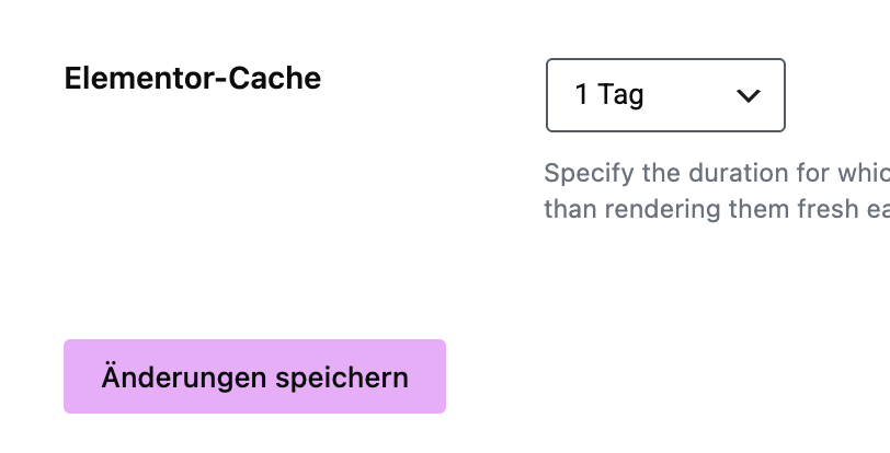 Cache aktivieren in Elementor.